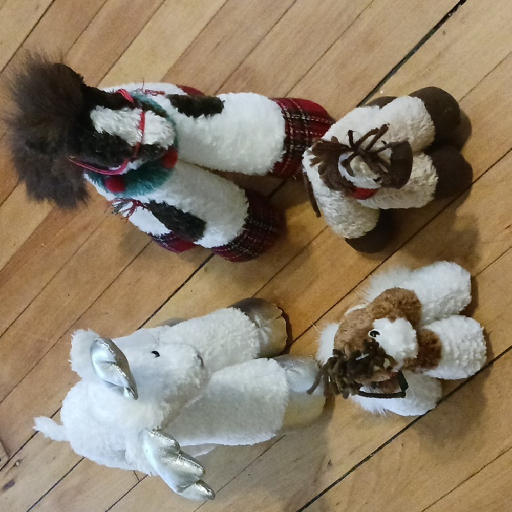 Funny feet stuff animal lot